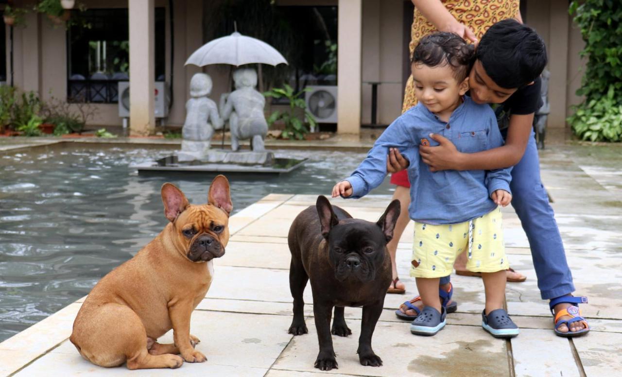 Manas Resort With Petting Zoo, Igatpuri Exterior foto