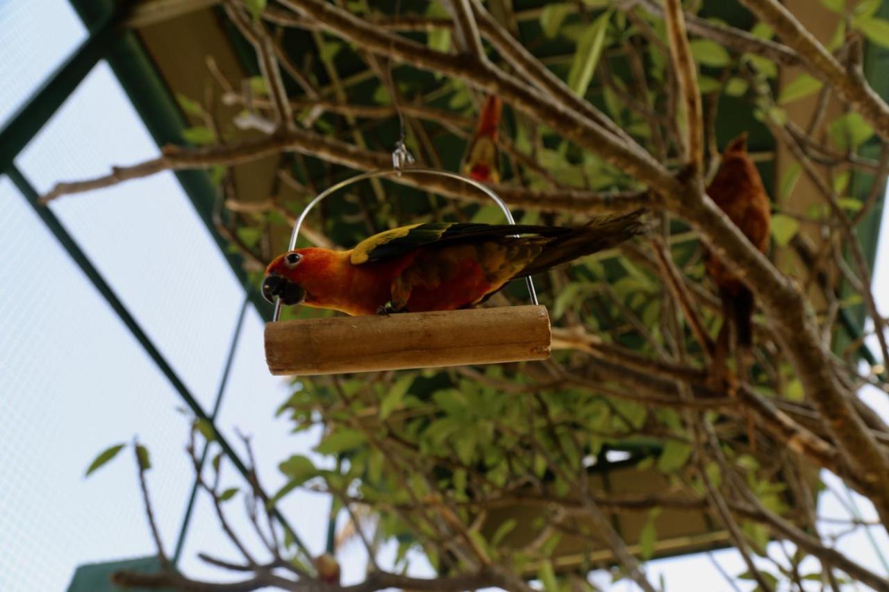 Manas Resort With Petting Zoo, Igatpuri Exterior foto