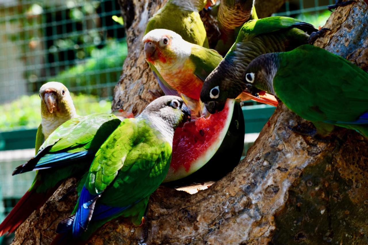 Manas Resort With Petting Zoo, Igatpuri Exterior foto